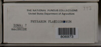 Image Associated With the Occurence